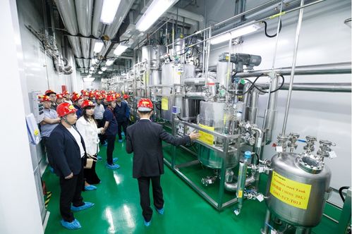 連續賦能，技術變現 連續流技術推廣現場會在敦化成功召開